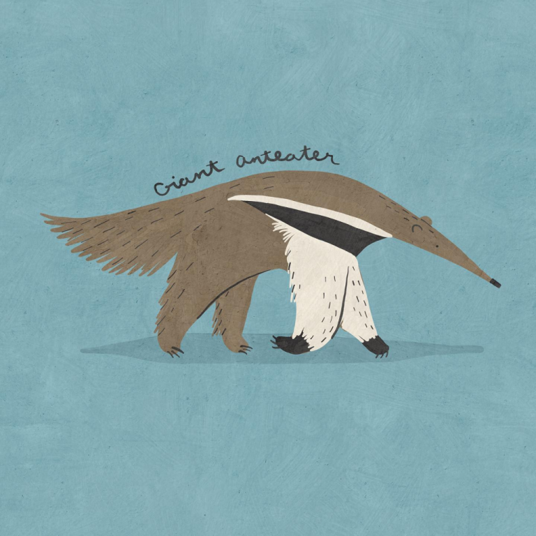 giant anteater Betsy Siber