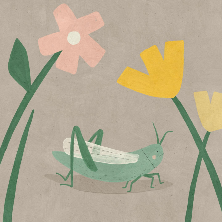 grasshopper Betsy Siber