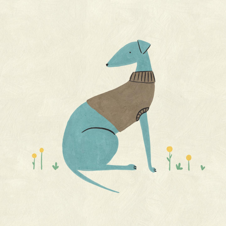 greyhound Betsy Siber