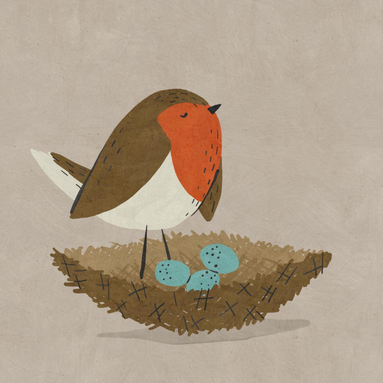 robin and eggs Betsy Siber