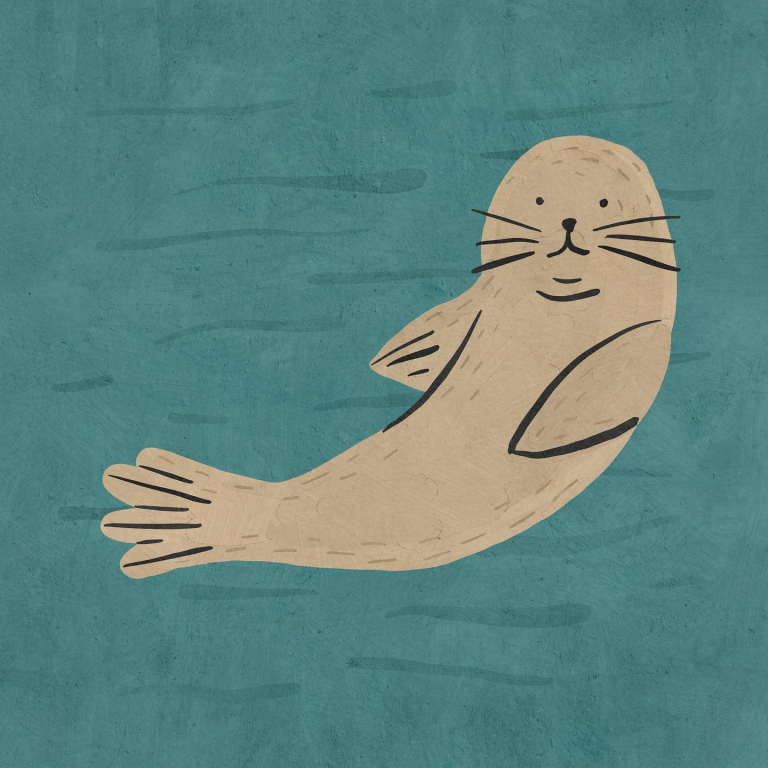 seal Betsy Siber