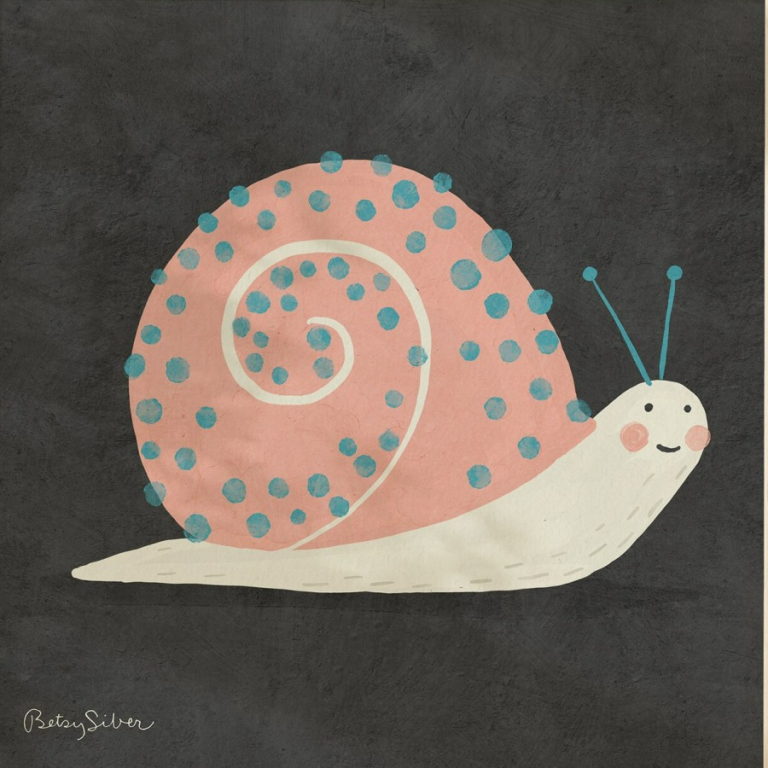 snail Betsy Sieber