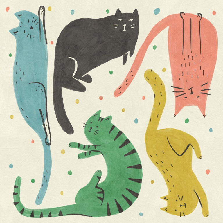 cats Betsy Siber
