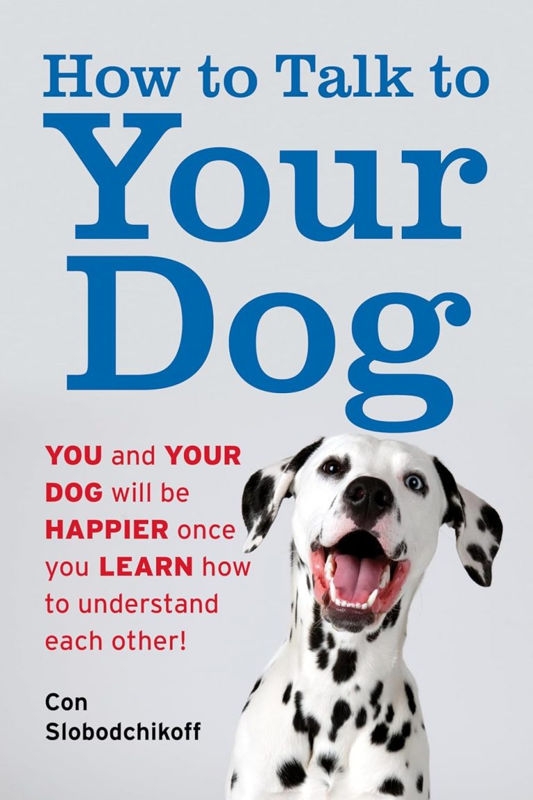 how to talk to your dog