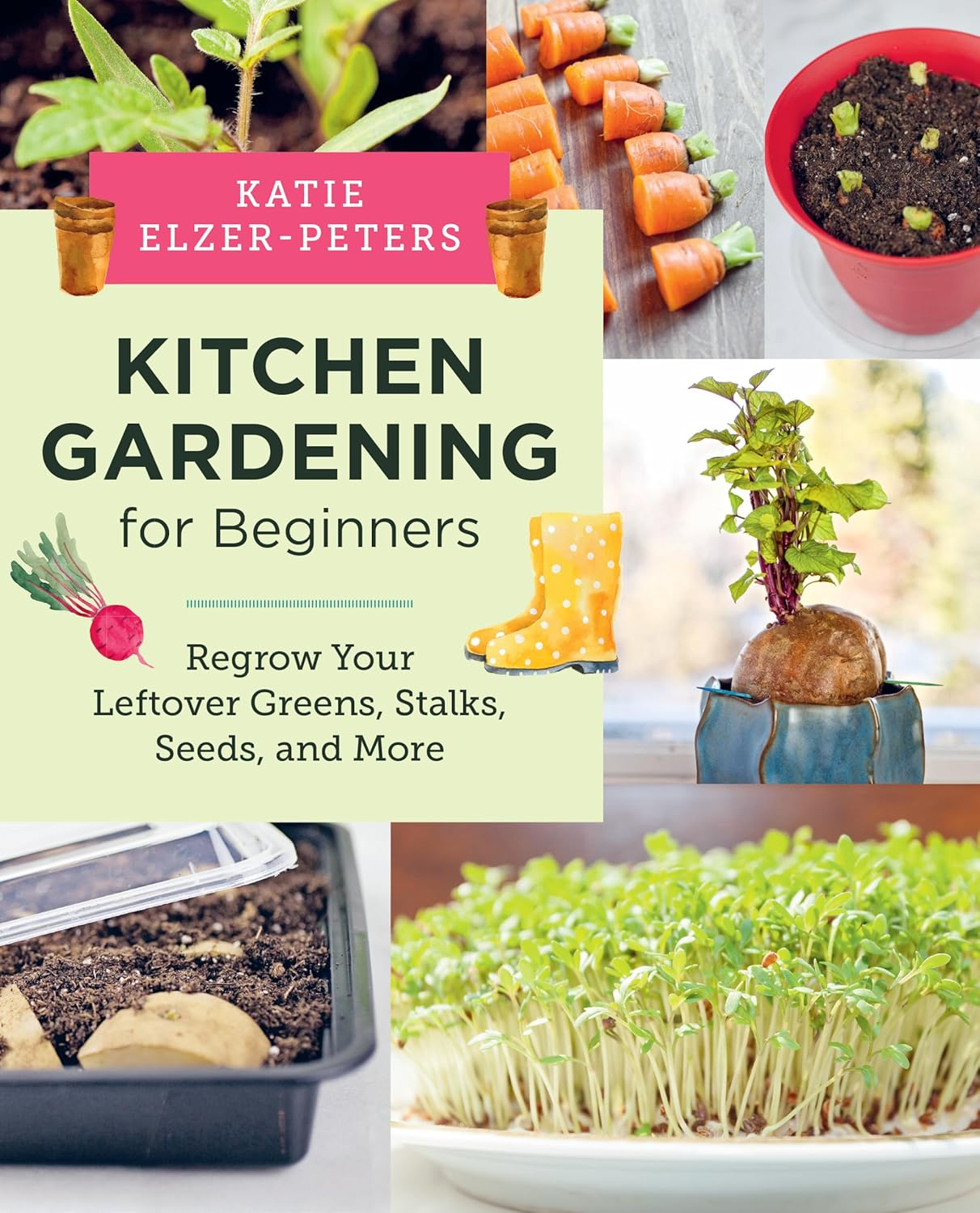 kitchen gardening for beginners