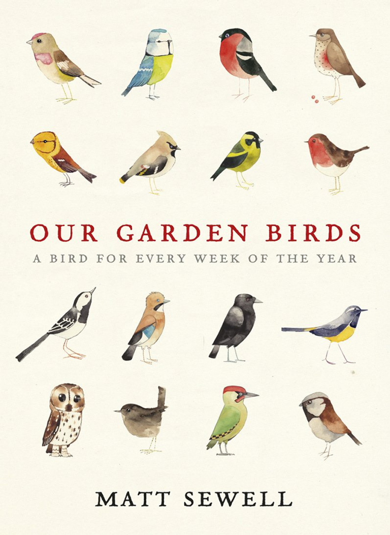 our garden birds