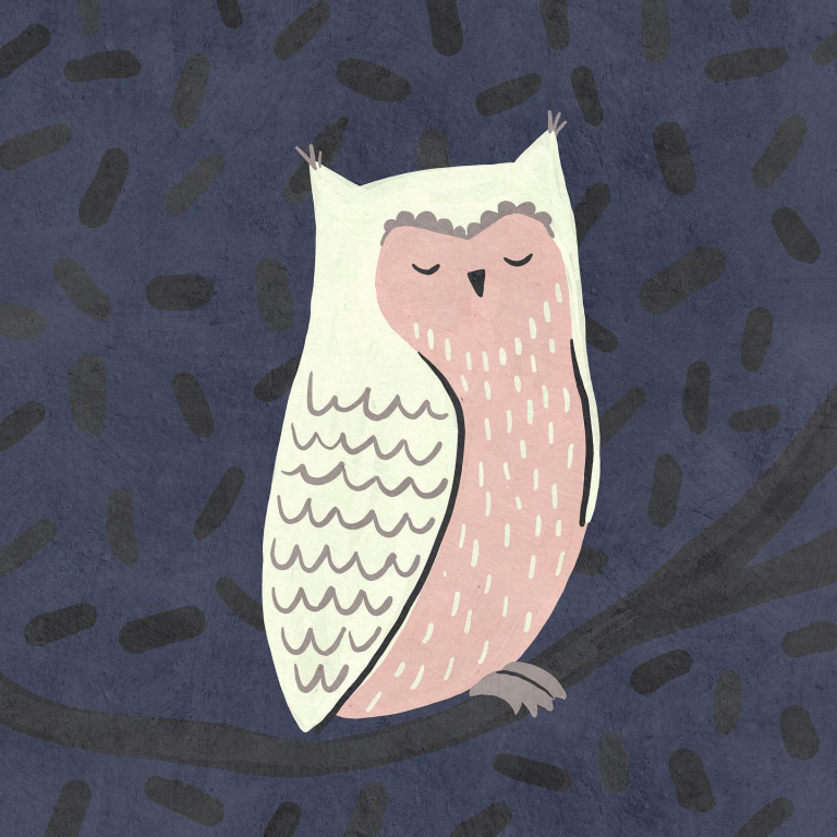 owl Betsy Siber