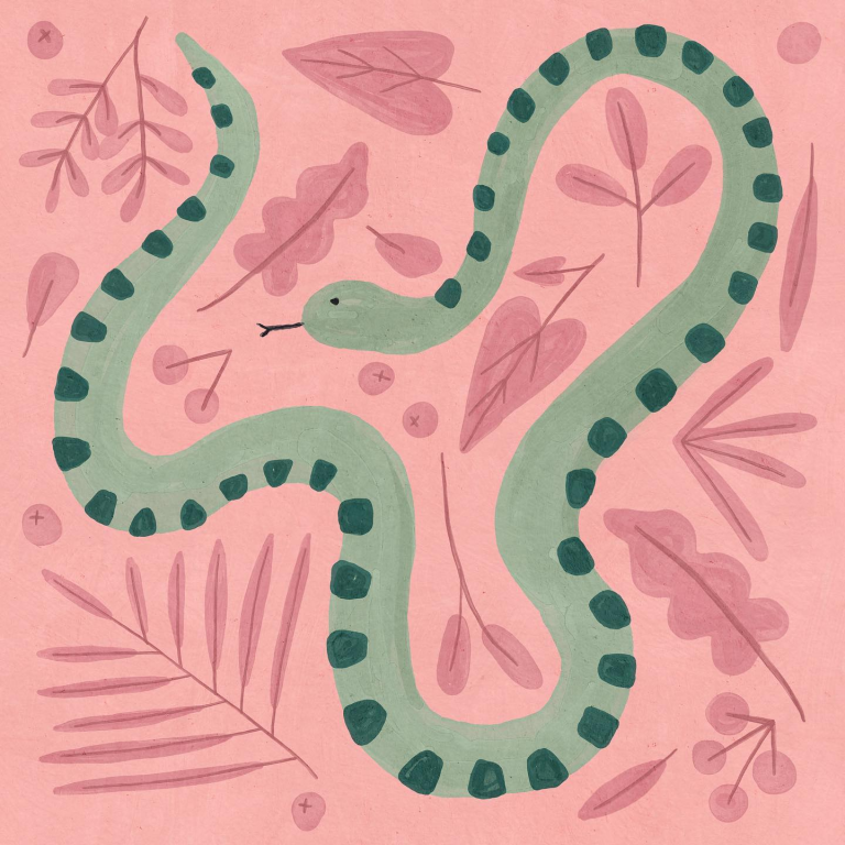 snake Betsy Siber