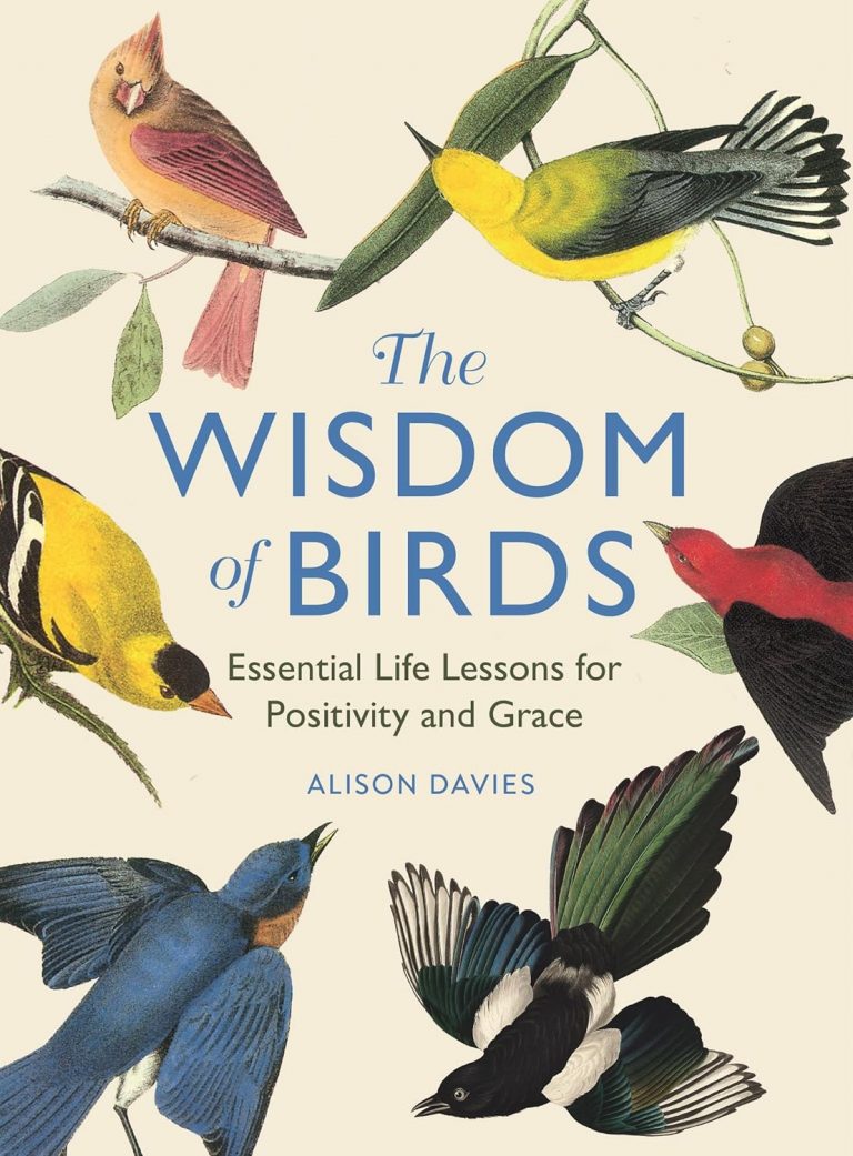 the wisdom of birds