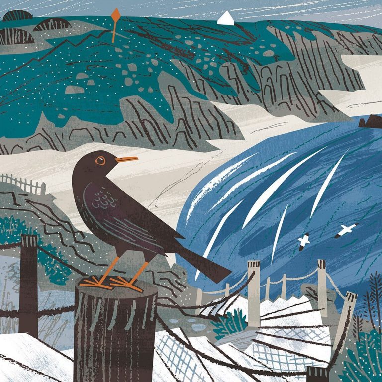 Cornish bird Matt Johnson