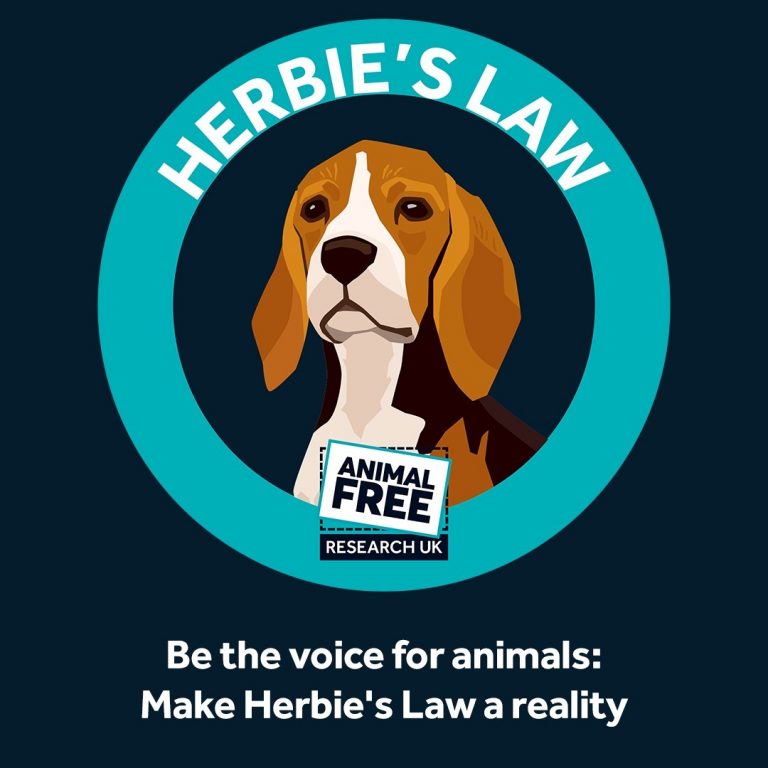 Herbie's law animal free research