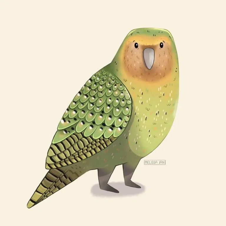 kakapo bird Melissa Jan