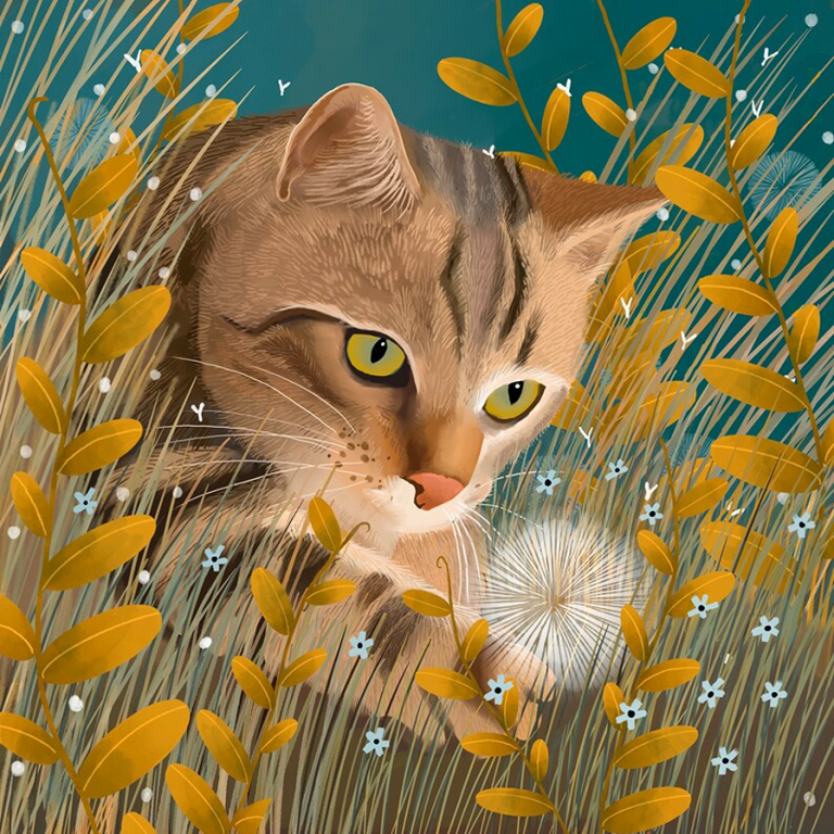 tiger cat Caroline Smith