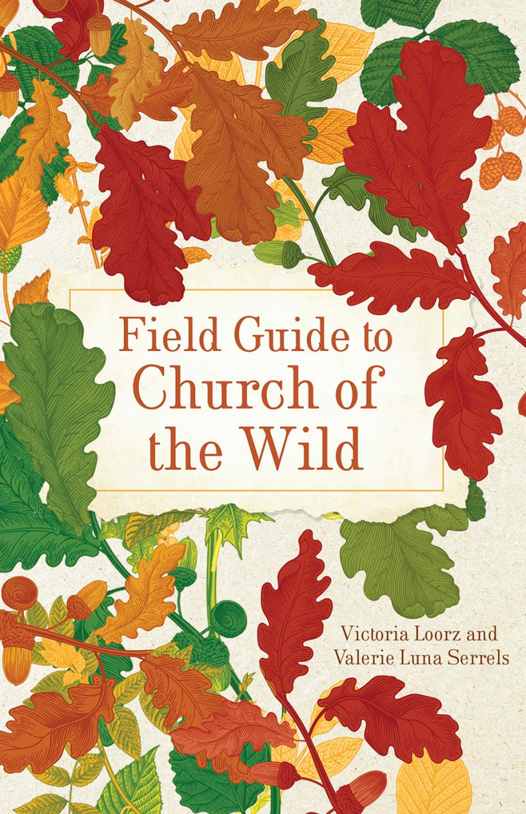 a field guide to church of the wild