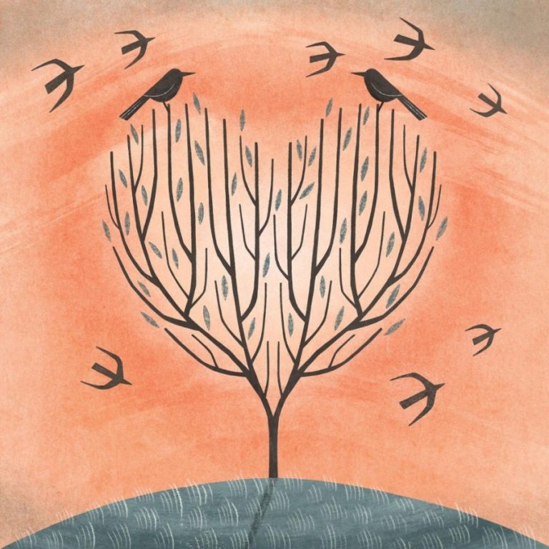 autumn light Holly Astle