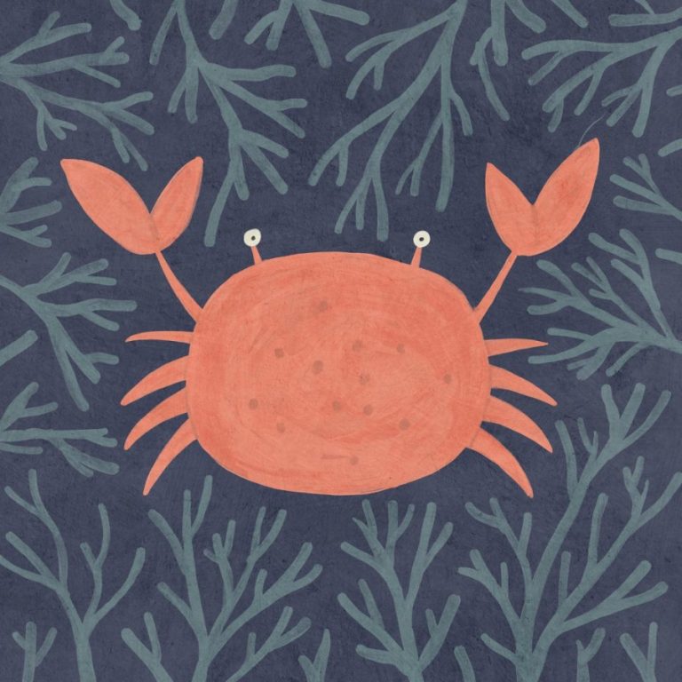 crab Betsy Siber
