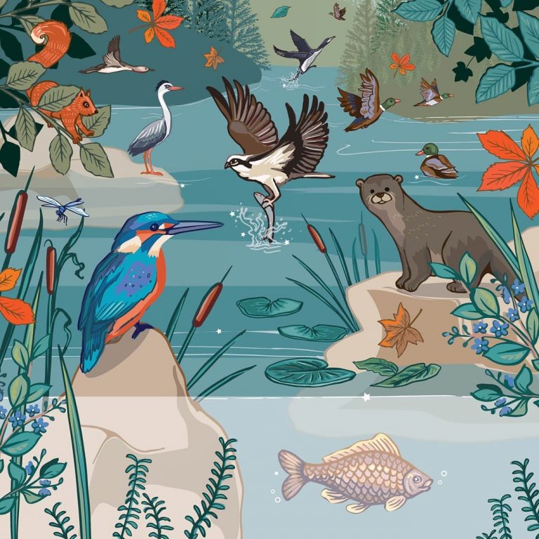 native river wildlife art by Angie