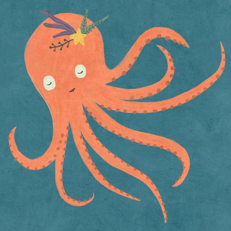 octopus Betsy Siber