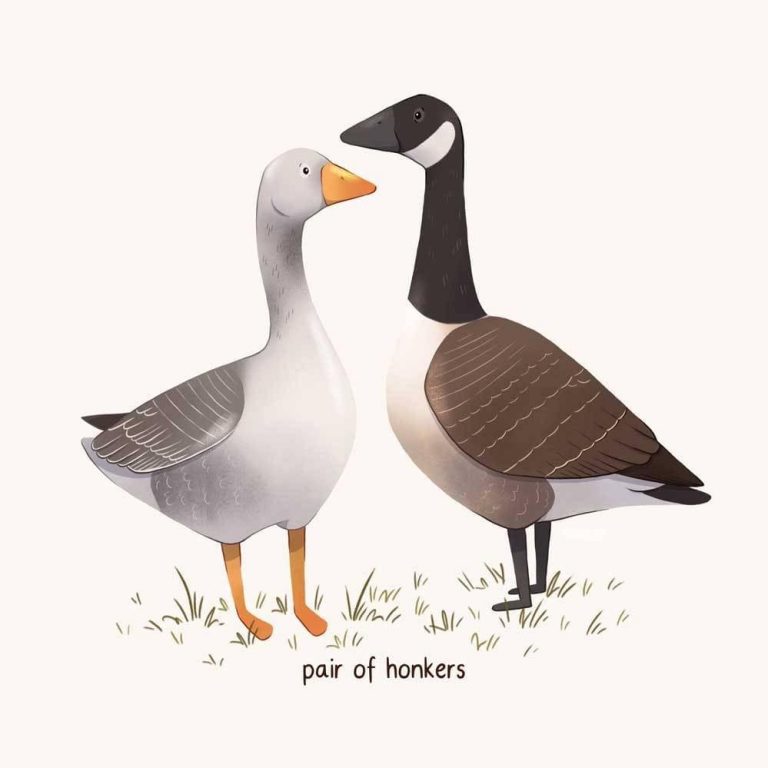 pair of honking geese Melissa Jan