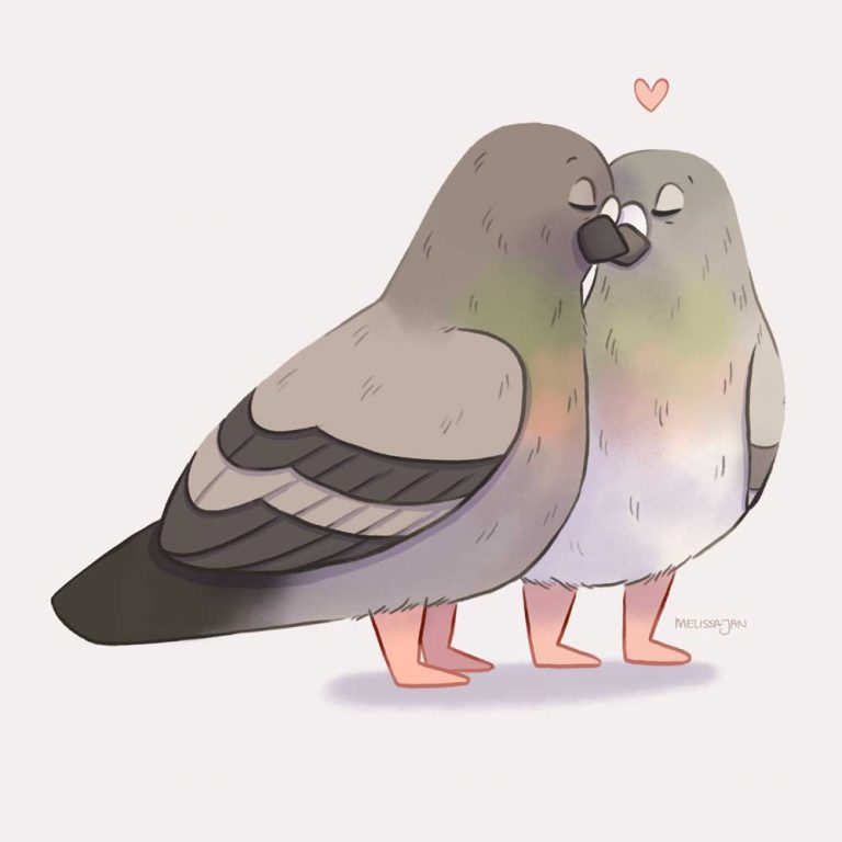 pigeons in love Melissa Jan