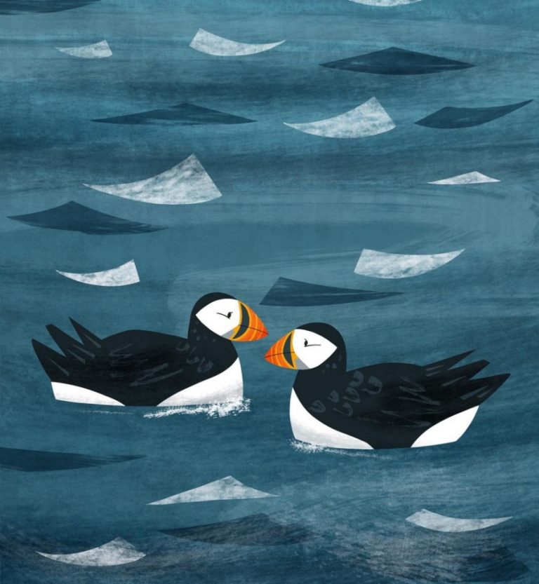 puffins Holly Astle