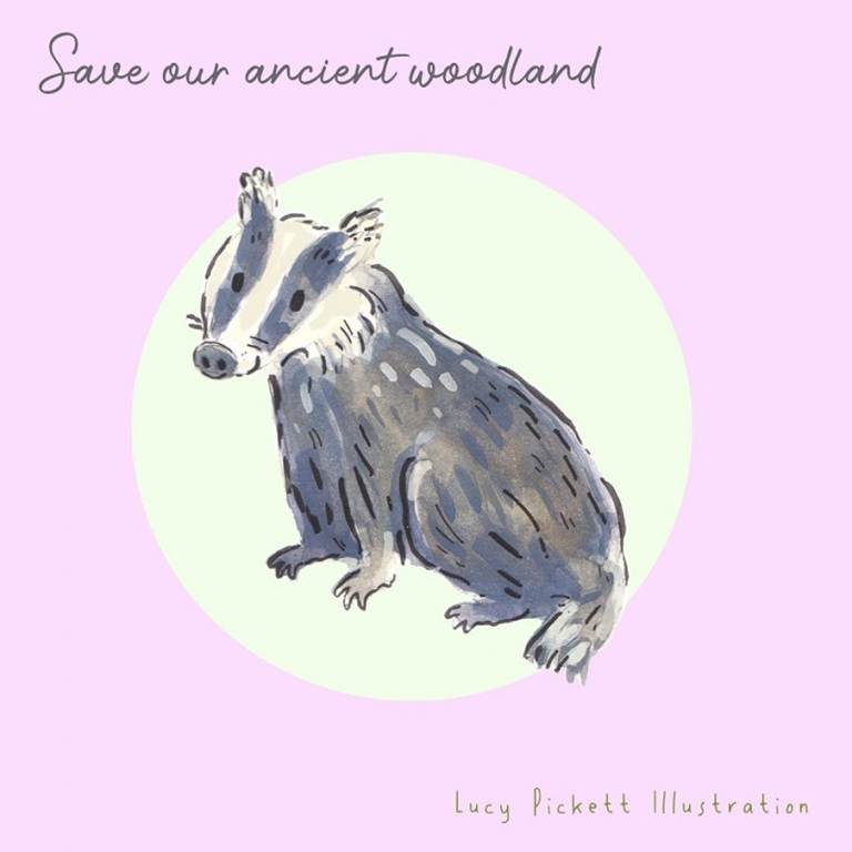 save our ancient woodland Lucy Pickett