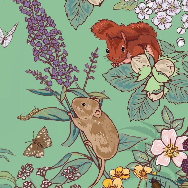 vole with squirrel Art by Angie