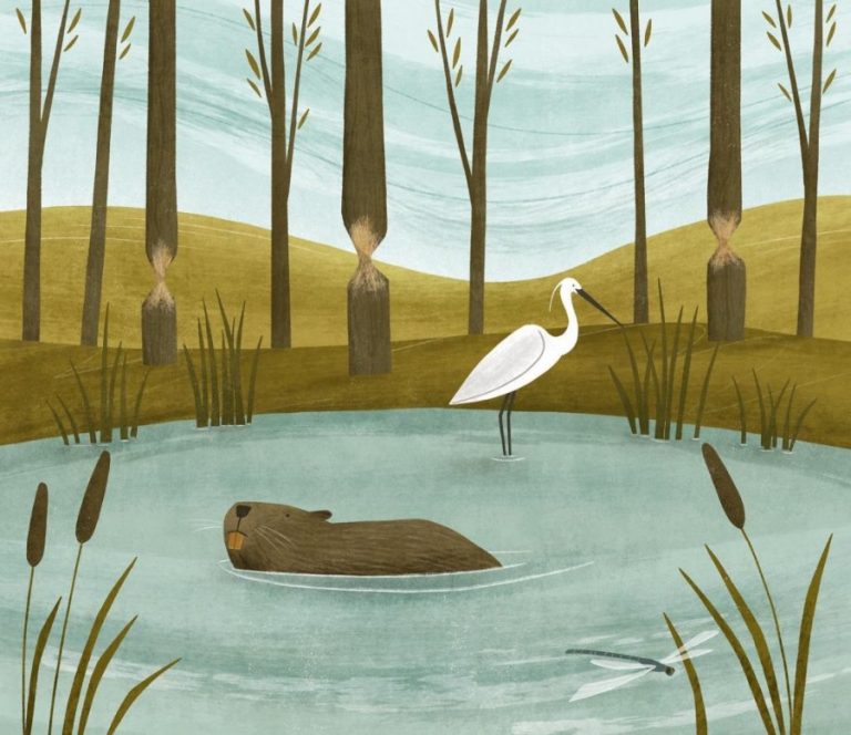 beaver and heron Holly Astle