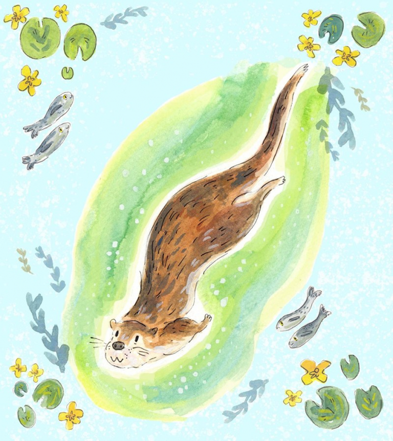 otter Lucy Pickett