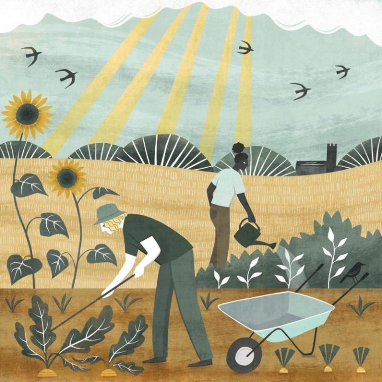 gardening Holly Astle