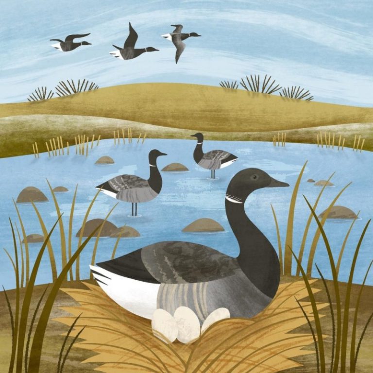 geese Holly Astle