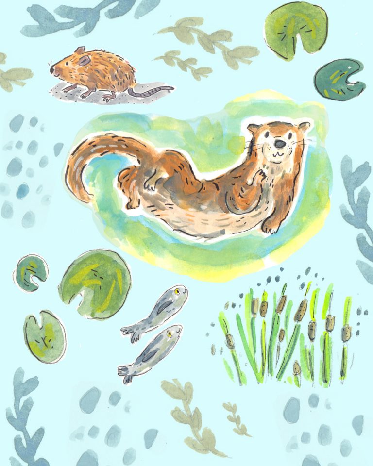 river wildlife Lucy Pickett