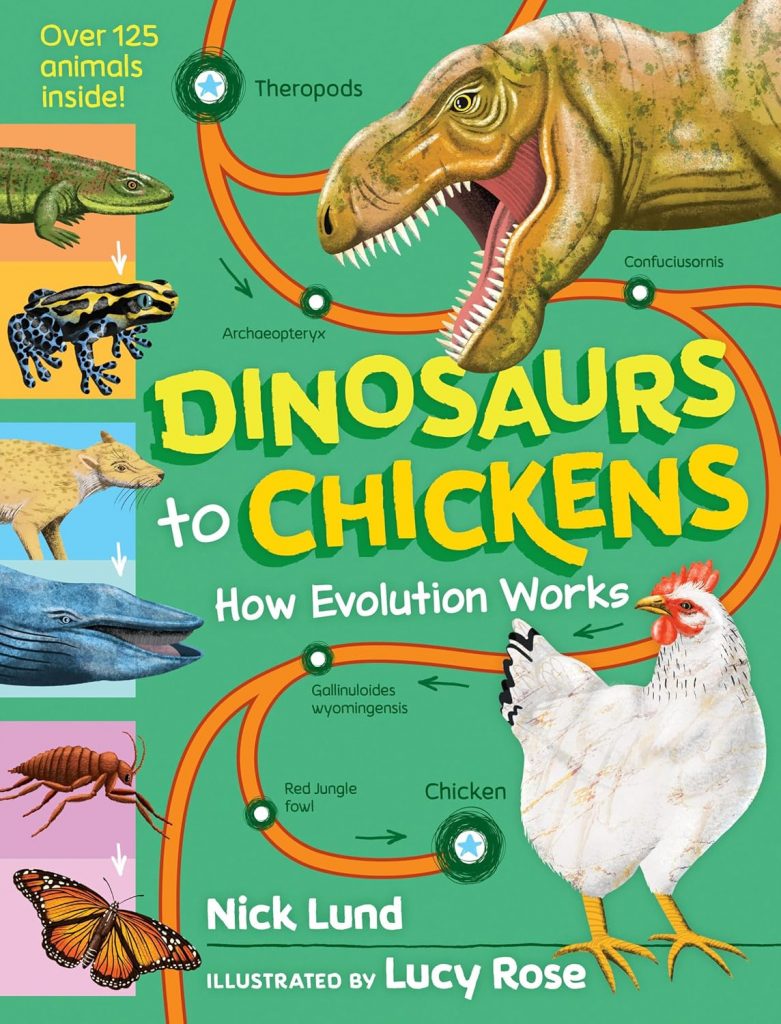 dinosaurs to chickens