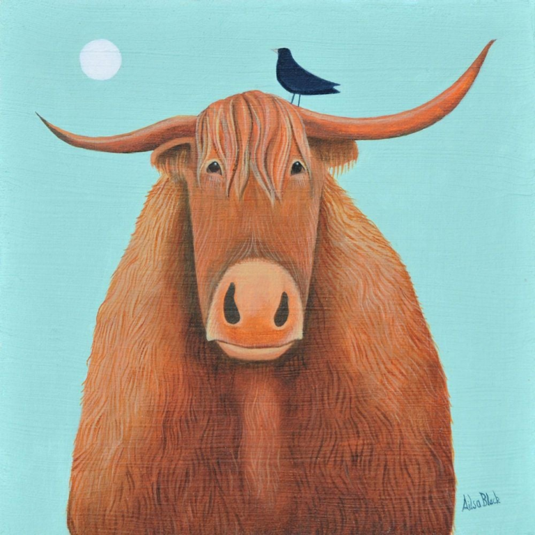 Broon coo Ailsa Black