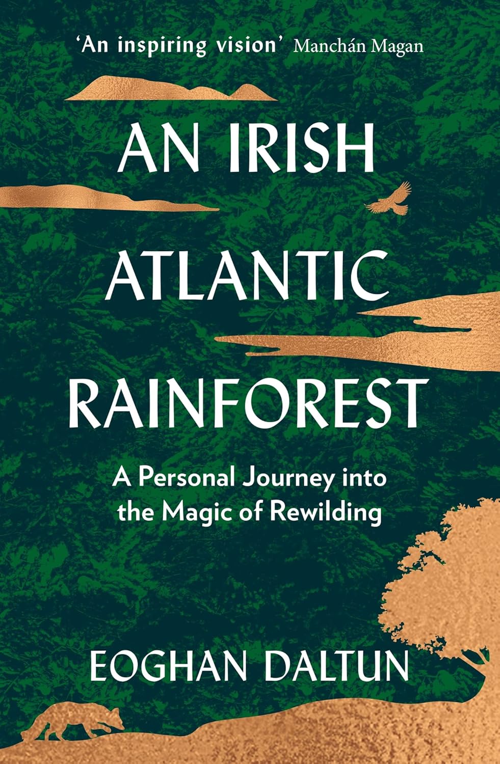Irish Atlantic rainforest
