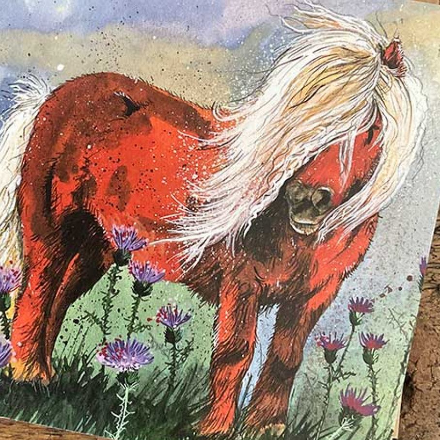 Shetland pony Alex Clark