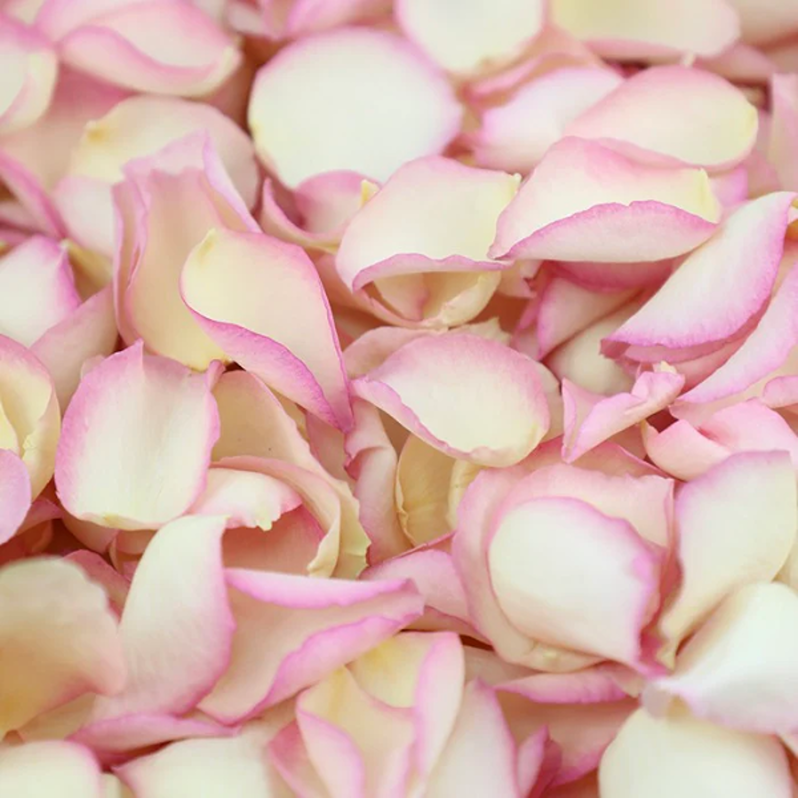 rose petal confetti