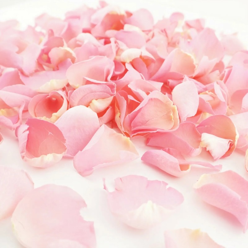 rose petal confetti