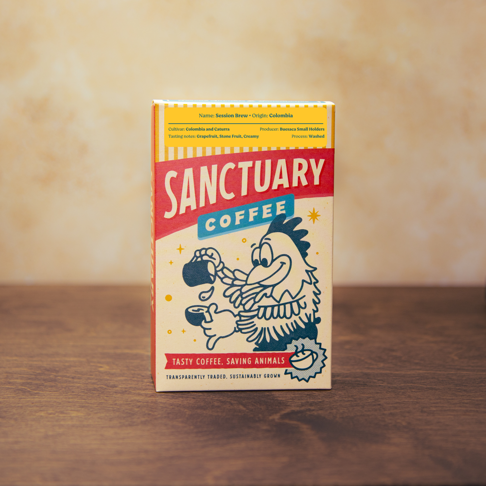 sanctuary coffee