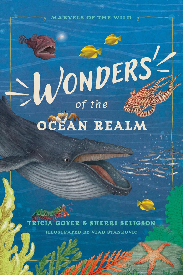 wonders of the ocean realm