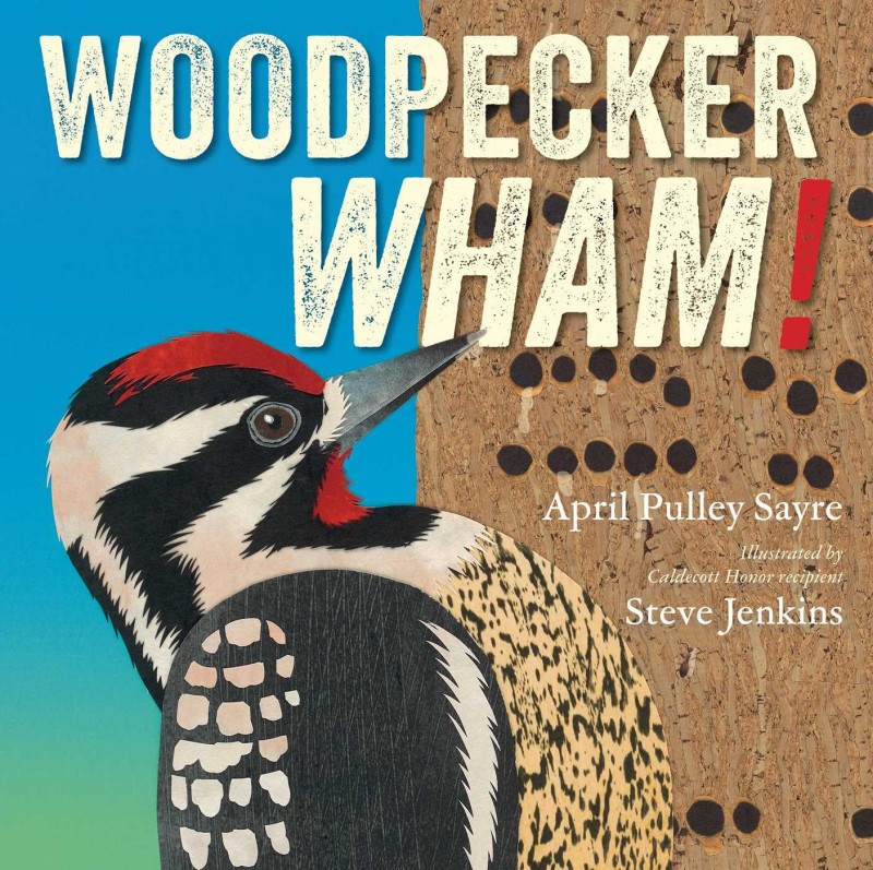 woodpecker wham