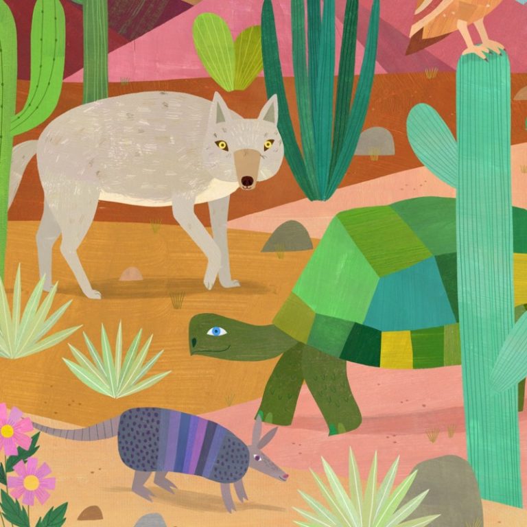 desert animals Melanie Mikecz