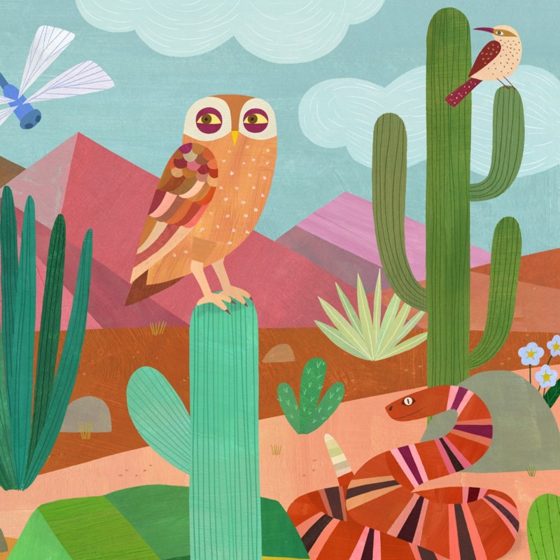 desert owl and friends Melanie Mikecz