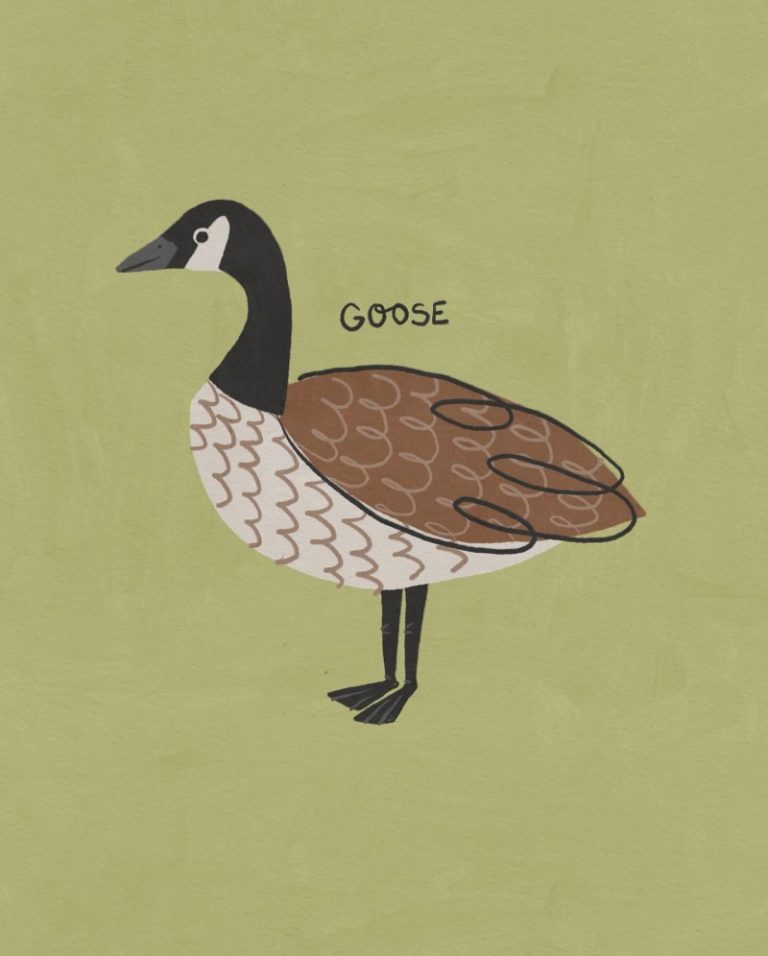 goose Betsy Siber
