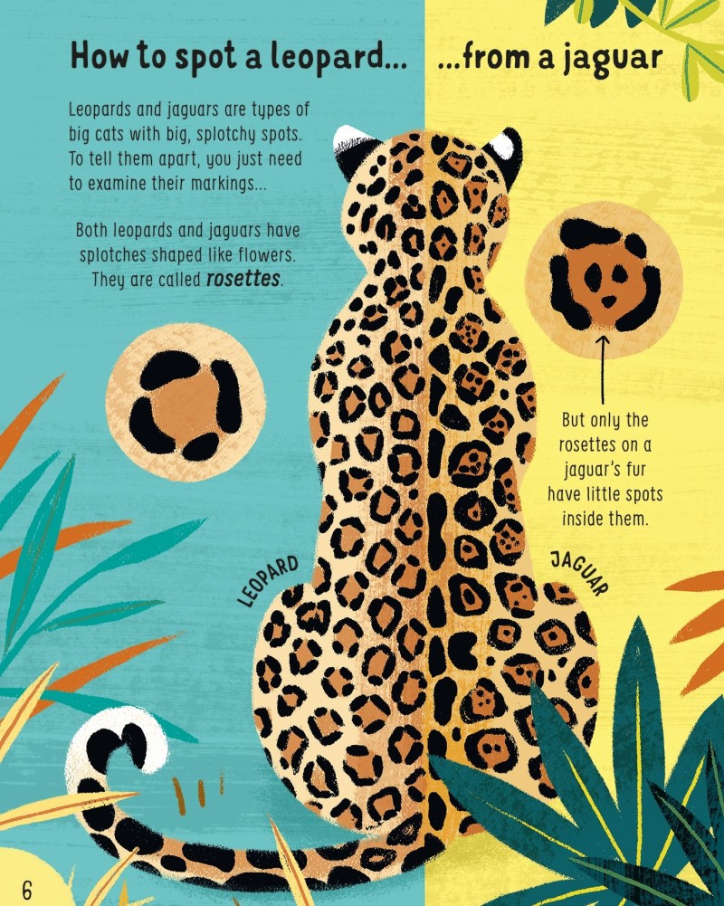 lots of things to know about animals
