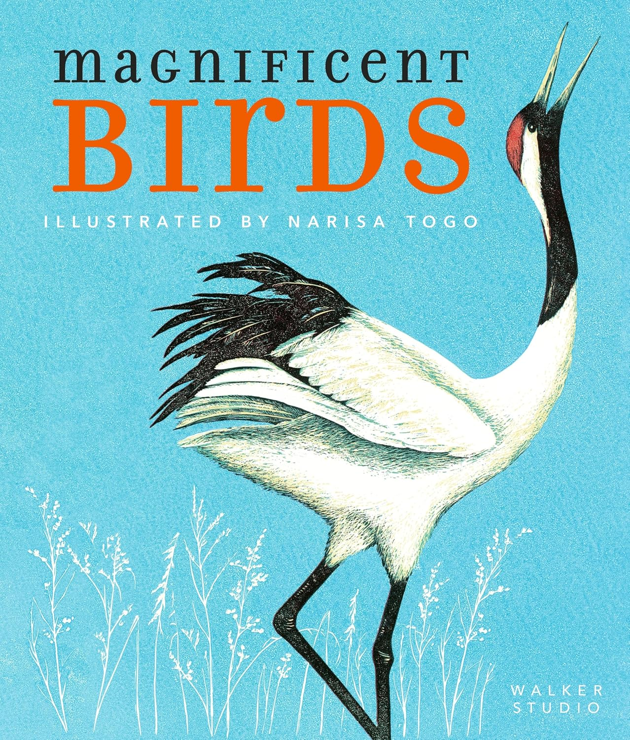 magnificent birds