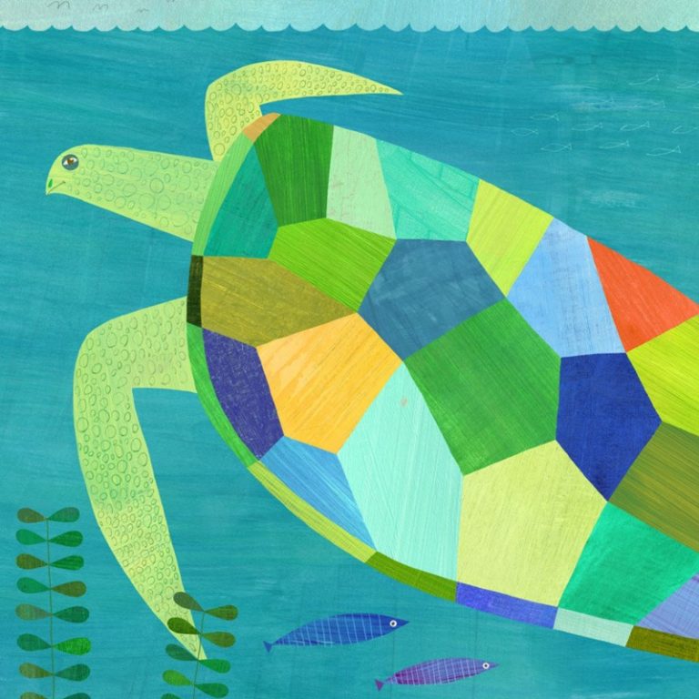 sea turtle Melanie Mikecz