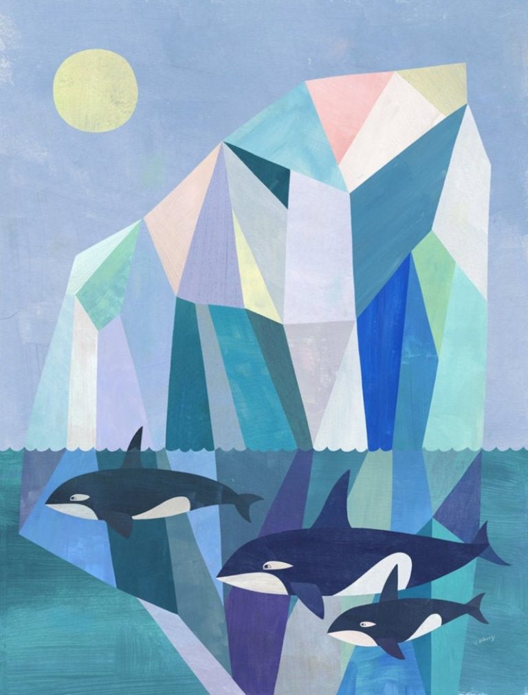 wild orcas Melanie Mikecz