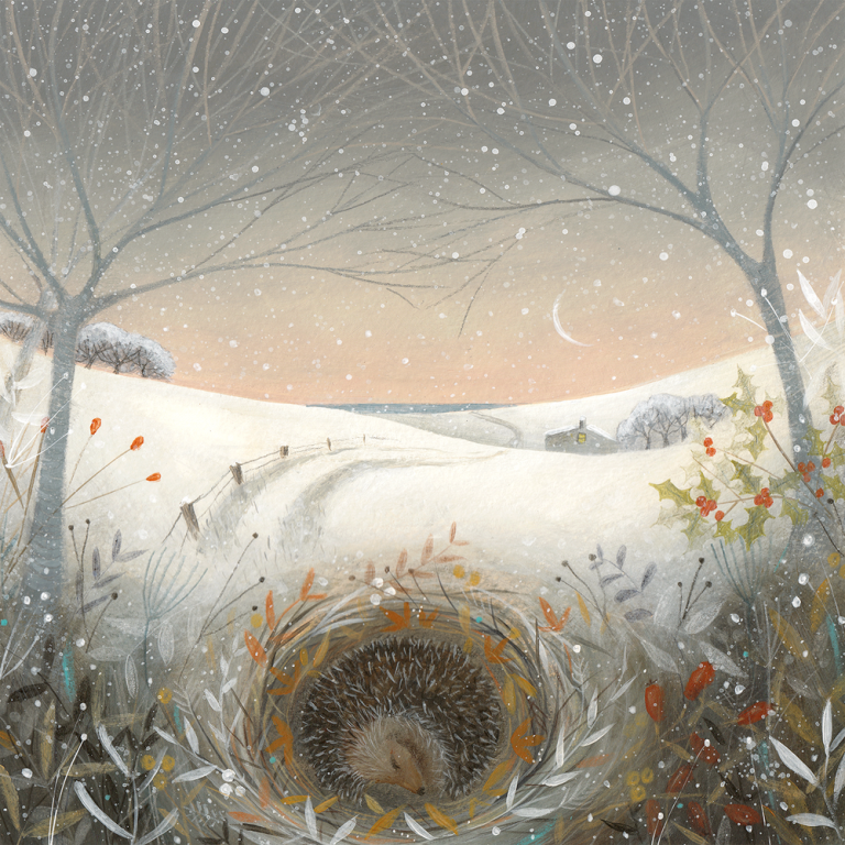 winter sleep Julia Crossland