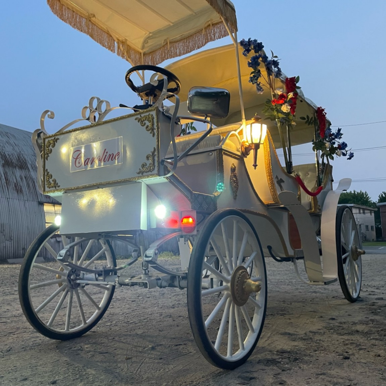 Caroline horseless e-carriage